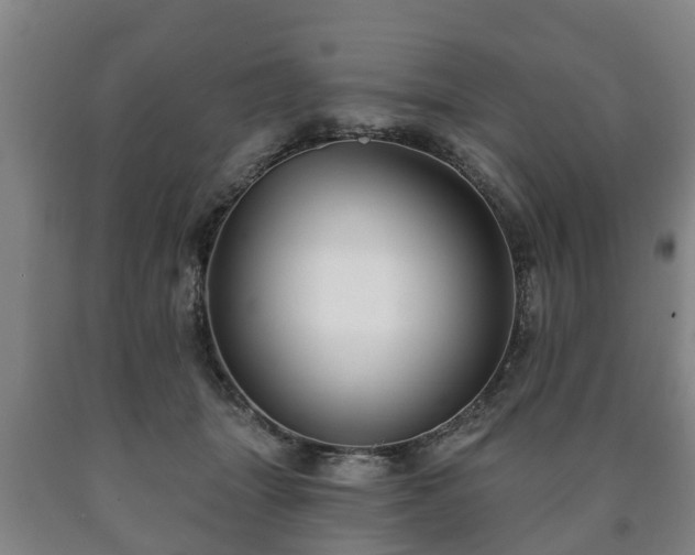 X0000090730463200707271407