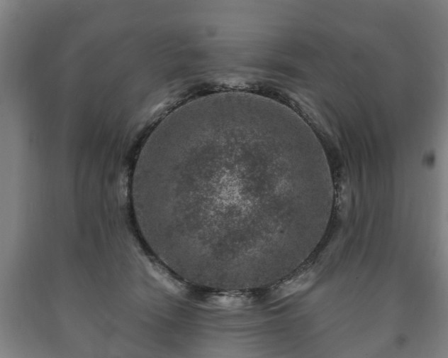 X0000090730466200707271407