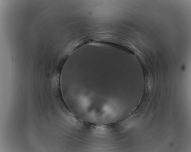 X0000090730475200707271407