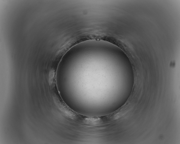 X0000090730480200707271407