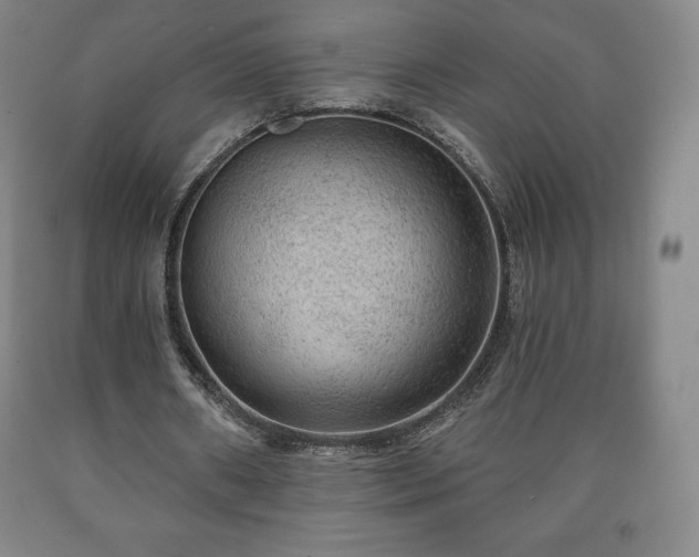 X0000090730482200707271407