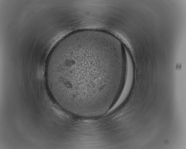 X0000090730483200707271407