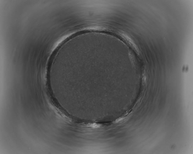 X0000090730484200707271407