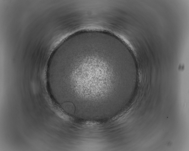 X0000090730487200707271407