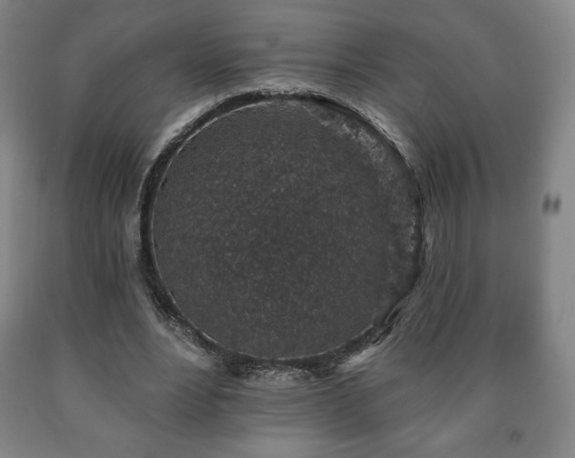 X0000090730488200707271407