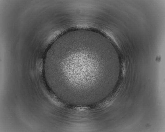 X0000090730495200707271407