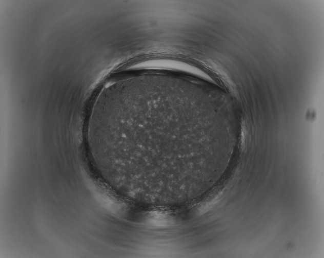 X0000090730496200707271407