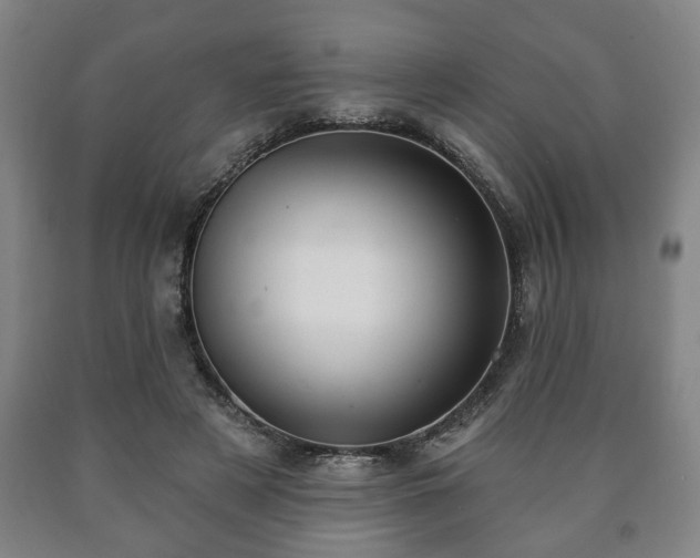 X0000090730497200707271407