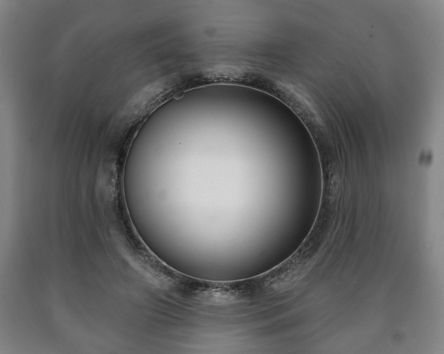 X0000090730498200707271407
