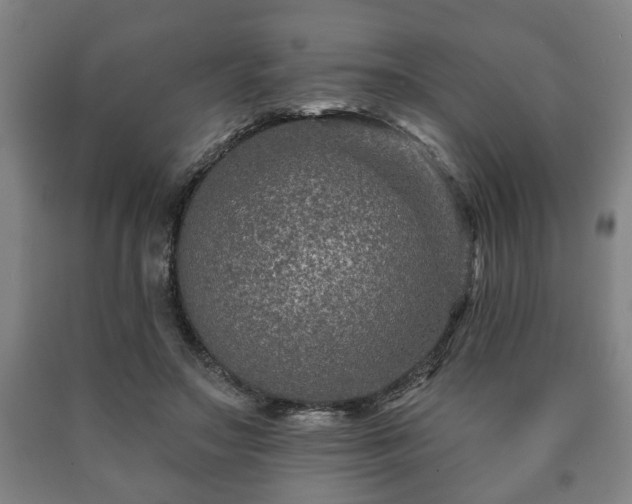 X0000090730499200707271407
