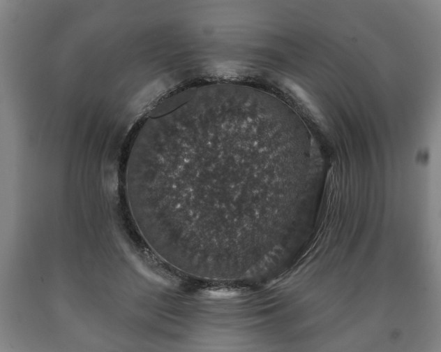 X0000090730500200707271407