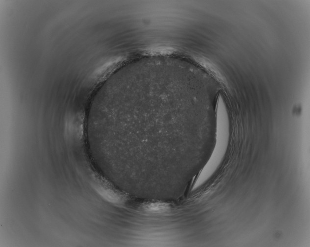 X0000090730501200707271407