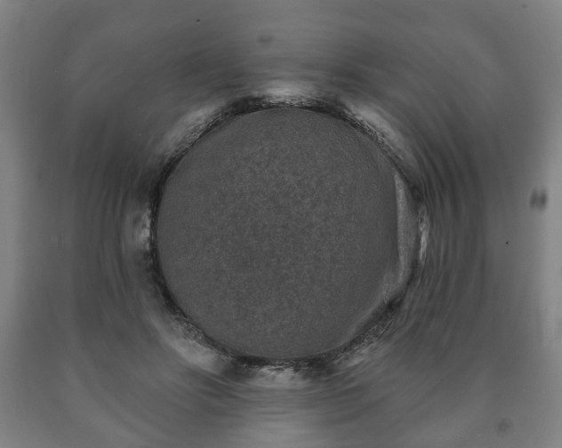 X0000090730502200707271407