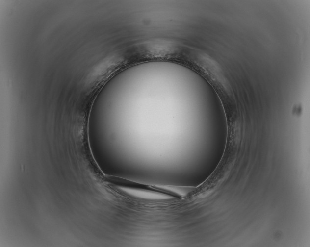 X0000090730505200707271407