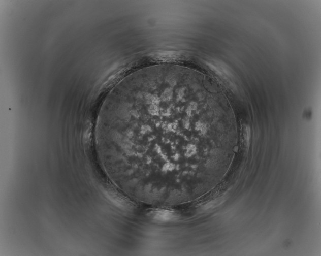 X0000090730507200707271407