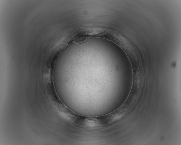 X0000090730510200707271406