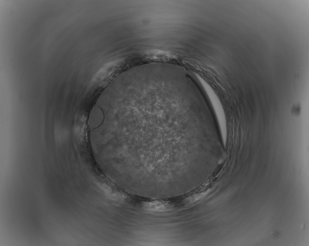 X0000090730511200707271406