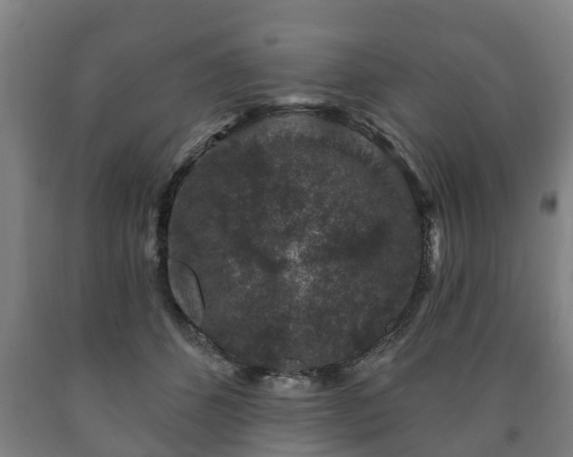 X0000090730512200707271406