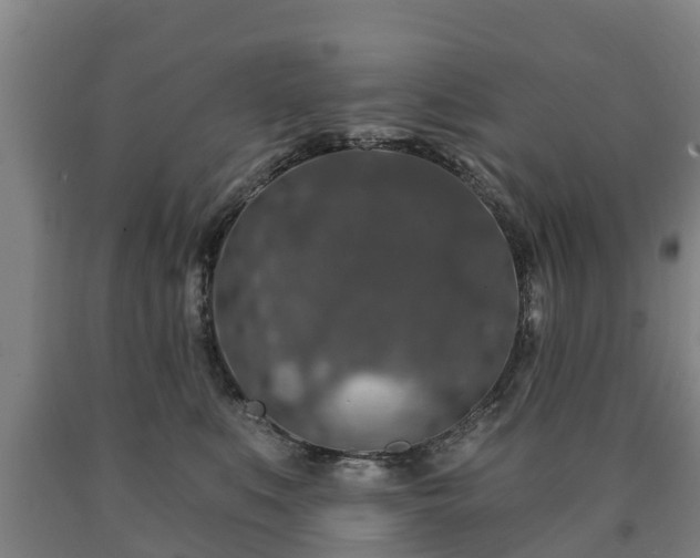 X0000090730519200707271406