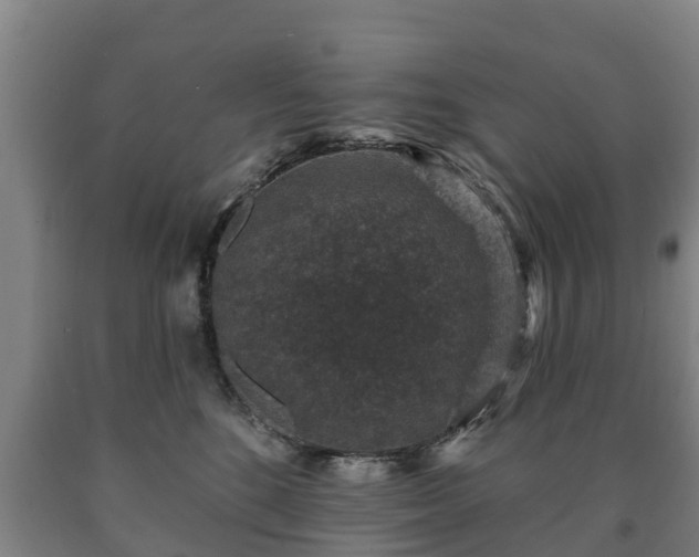 X0000090730520200707271406