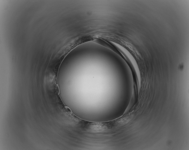 X0000090730521200707271406
