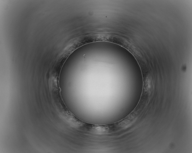X0000090730522200707271406