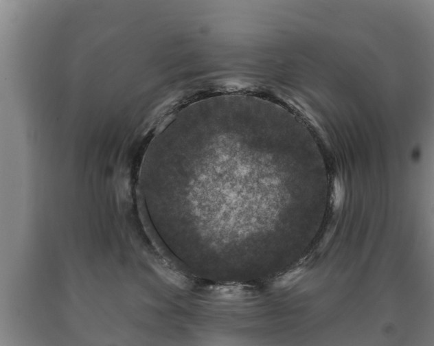 X0000090730524200707271406