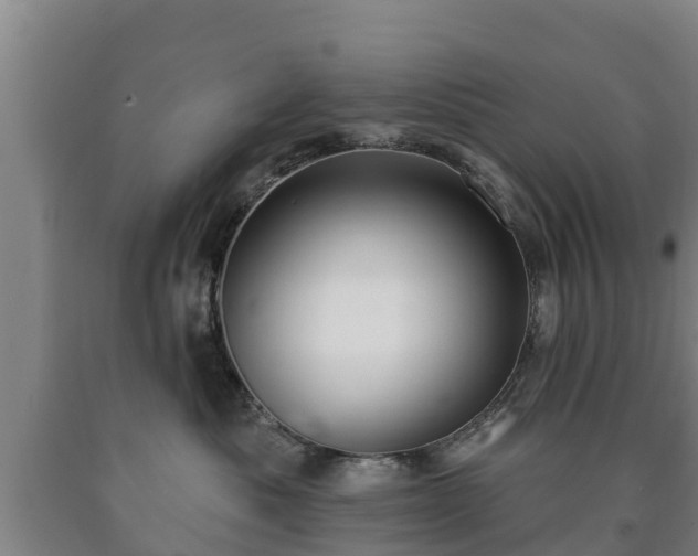 X0000090730525200707271406