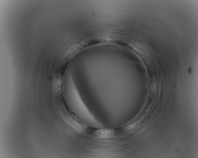 X0000090730526200707271406