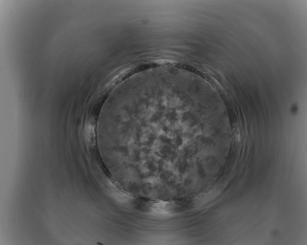 X0000090730527200707271406