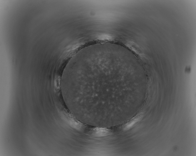 X0000090730528200707271406