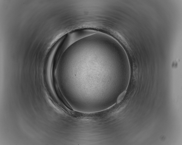 X0000090730530200707271405