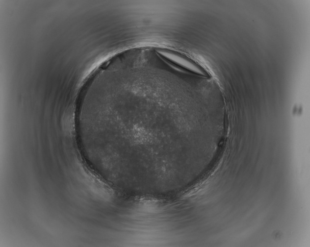 X0000090730531200707271405