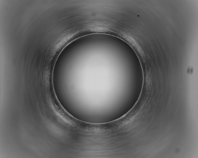 X0000090730533200707271405