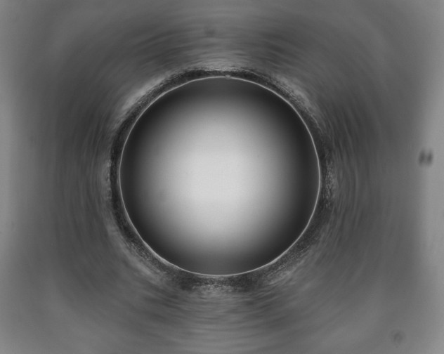 X0000090730535200707271405