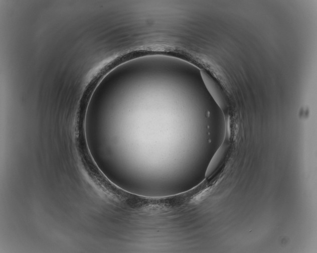 X0000090730536200707271405