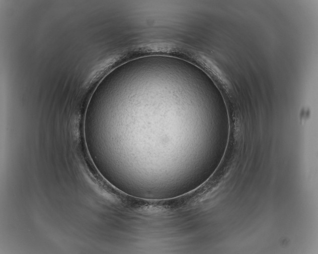 X0000090730537200707271405