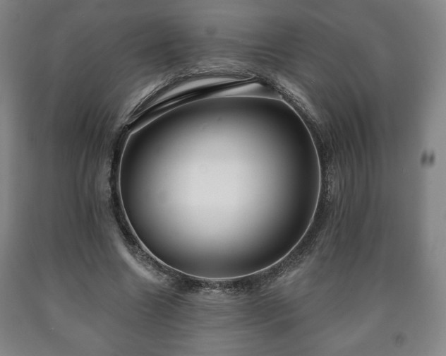 X0000090730538200707271405