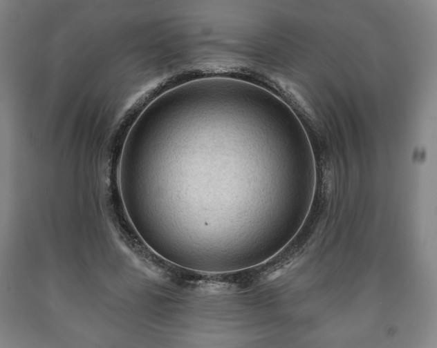 X0000090730539200707271405