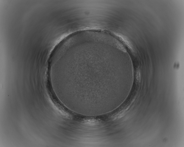 X0000090730540200707271405