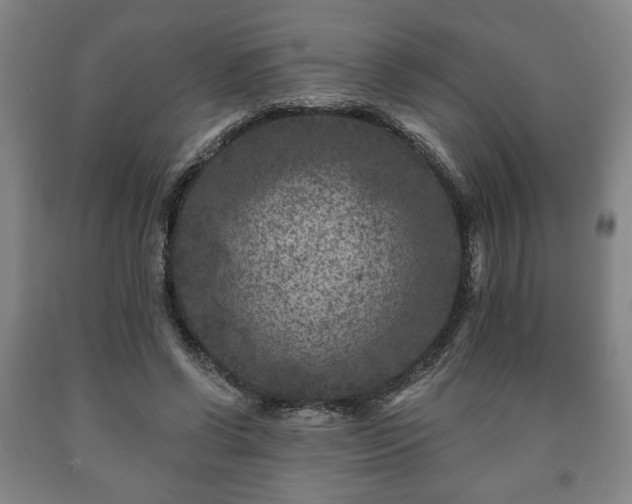 X0000090730542200707271405