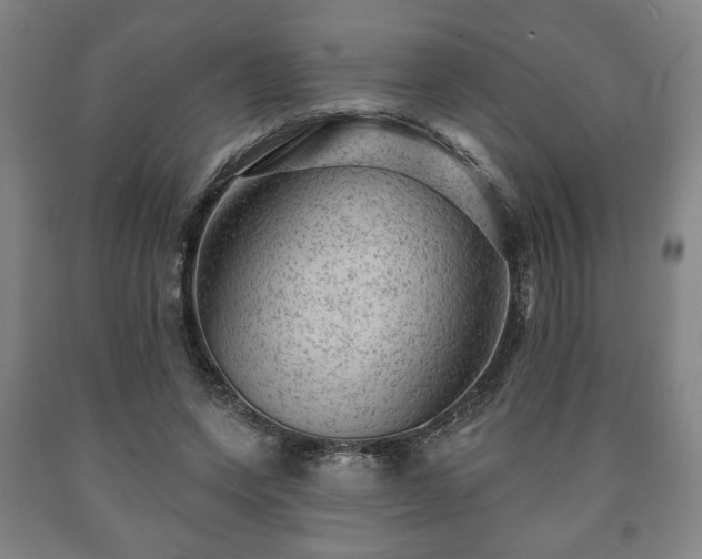 X0000090730543200707271405