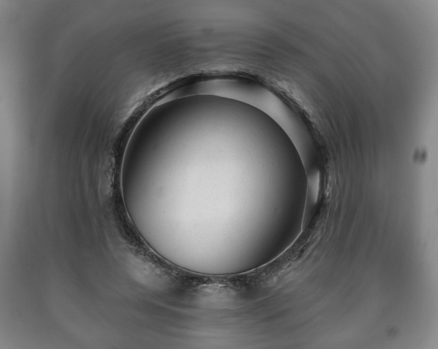X0000090730544200707271405
