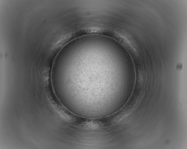 X0000090730545200707271406