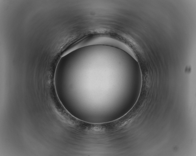 X0000090730546200707271406