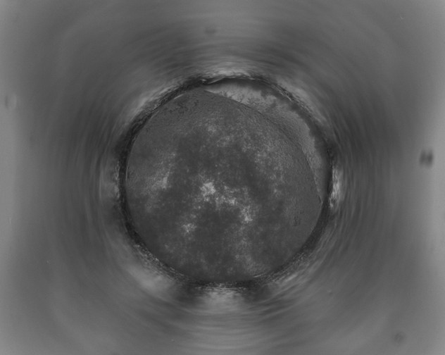X0000090730547200707271406