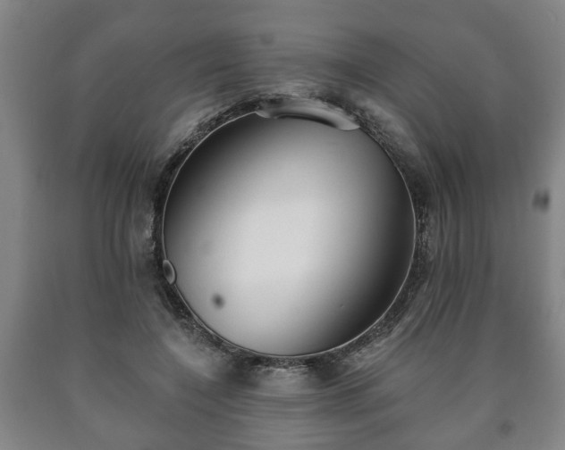 X0000090730548200707271406
