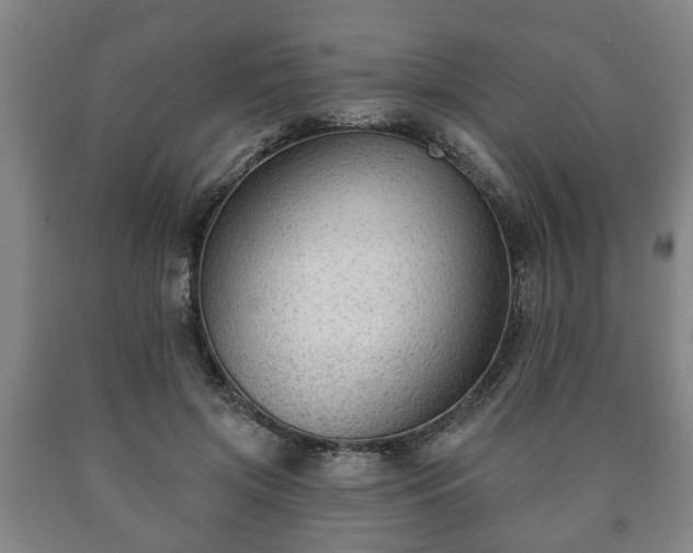X0000090730549200707271406