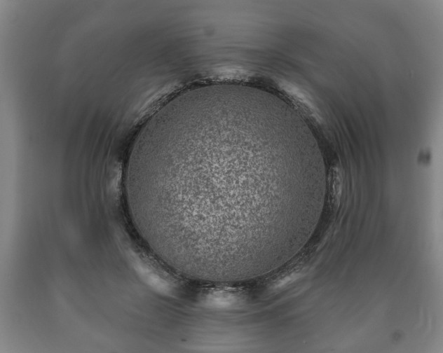 X0000090730550200707271406
