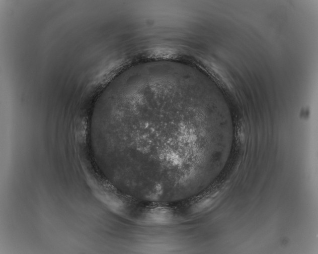 X0000090730551200707271406
